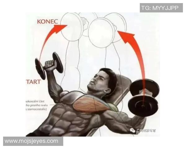 哑铃飞鸟训练时选择合适重量的技巧与建议分享