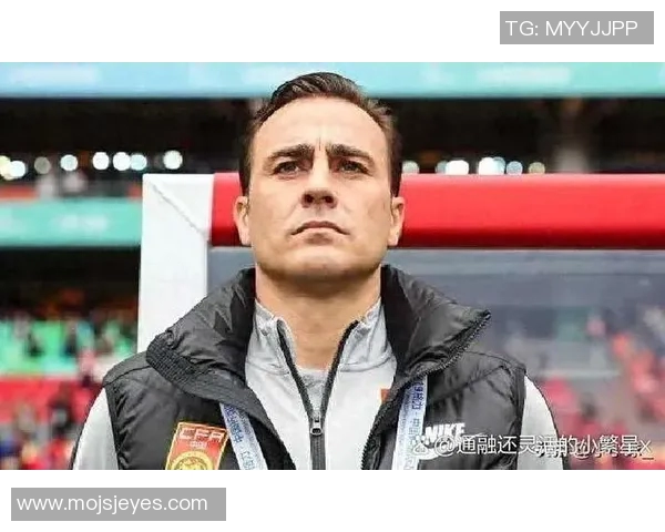 塞尔维亚足球队主教练的战术理念与球队未来发展展望